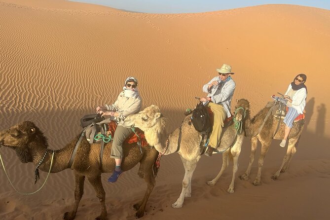 6 Days Private Morocco Tour North to South From Marrakech - Camel Treks and Desert Excursions