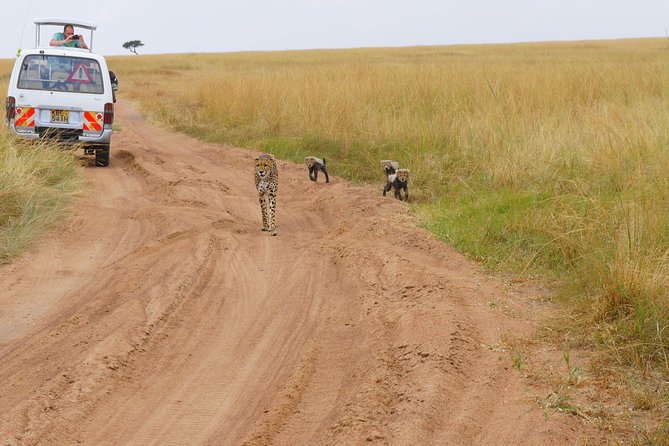 6 Days Private Safari Package Kenya - Accessibility Information