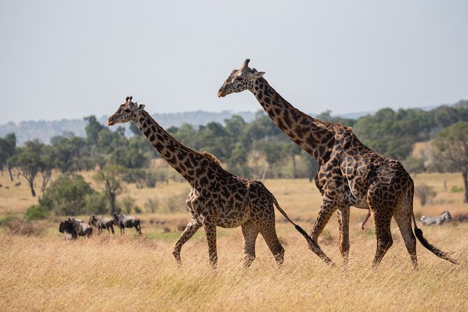 6 Days Private Safari Tour - Inclusions