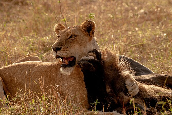 6 Days Private Safari Tour - Cancellation Policy