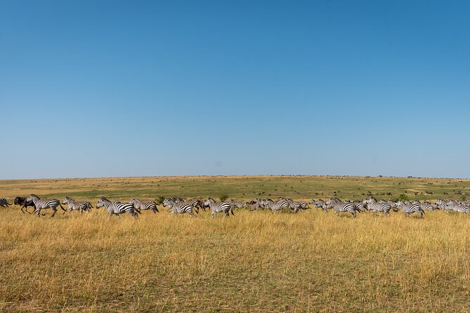 6 Days Private Safari Tour - Itinerary
