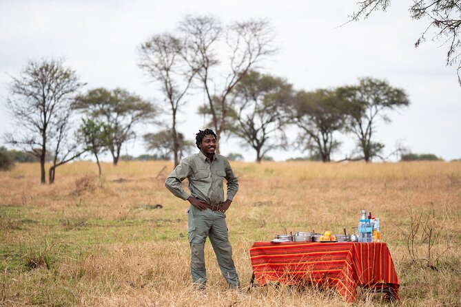 6 Days Private Safari Tour - Accommodations