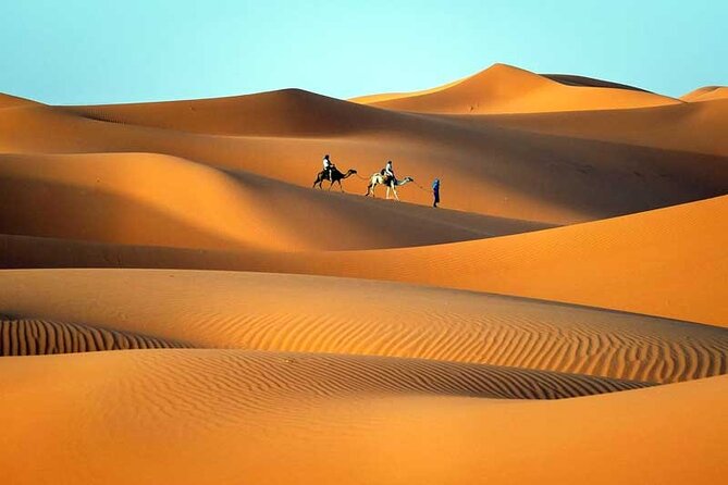 6 Days Private Tour From Fes to Marrakech - Itinerary & Activities