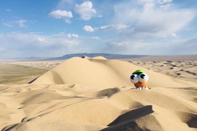 6 Days Private Tour in Gobi Desert - Tour Overview