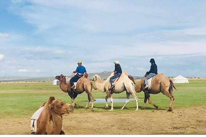 6 Days Private Tour in Gobi Desert - Tour Overview