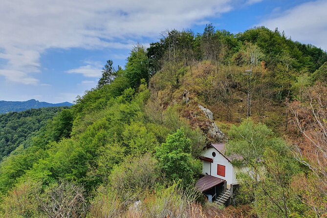 6 Days Private Tour in Romania Spectacular Places From Bucharest - Day 5: Sibiu to Bucharest