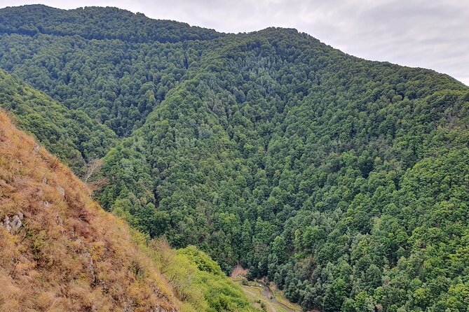 6 Days Private Tour in Romania Spectacular Places From Bucharest - Reviews and Experience