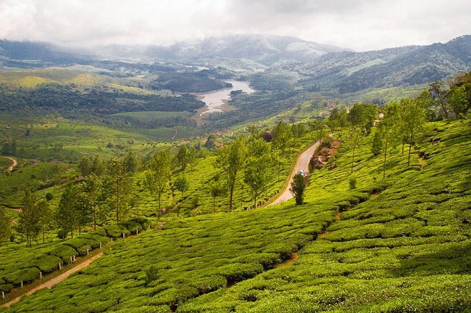6 Days Private Tour Kerala Natural Retreat - Munnar Nature Trek
