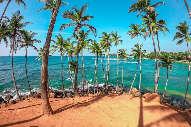 6 Days Private Vehicle With Driver Explore Sri Lanka By Your Own Plans - Pickup Information