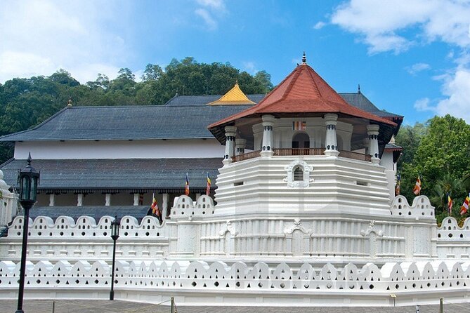 6 Days Private Vehicle With Driver Explore Sri Lanka By Your Own Plans - Health and Safety Guidelines