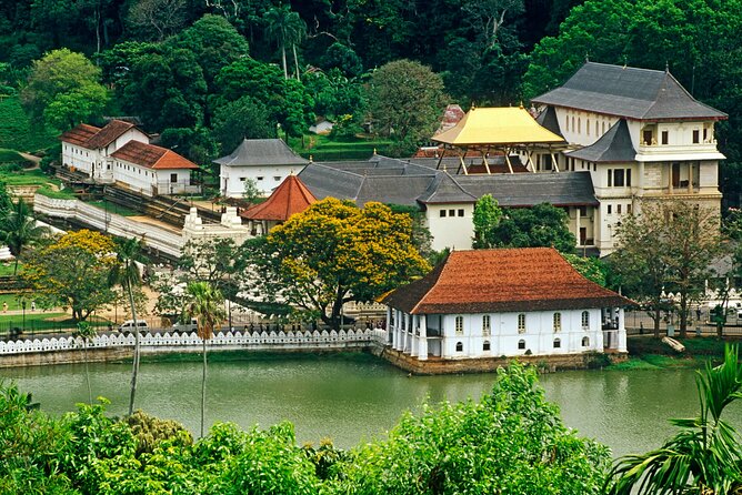 6 Days Private Vehicle With Driver Explore Sri Lanka By Your Own Plans - Accommodation