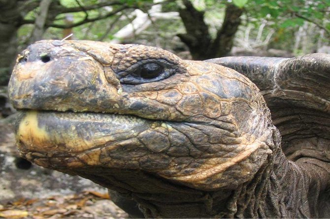 6-Days Quito & Galapagos Basic - Excluded Services