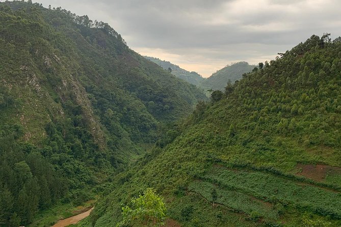 6 Days Rwanda Uganda Budget Wildlife Safari - Accommodation