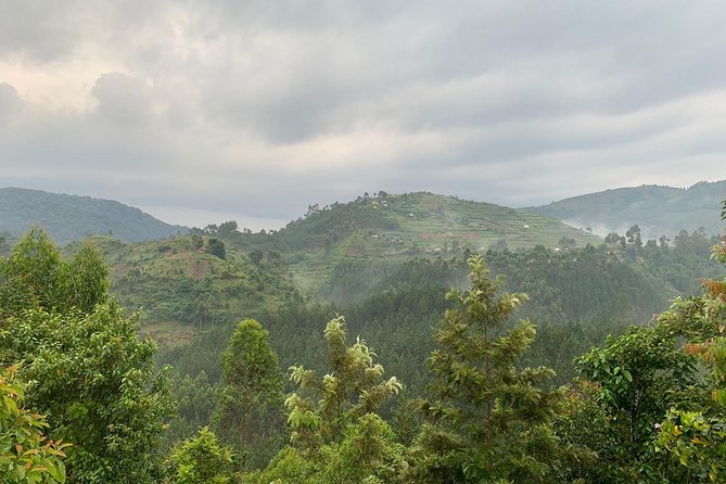 6 Days Rwanda Uganda Budget Wildlife Safari - About Bamboo Ecotours