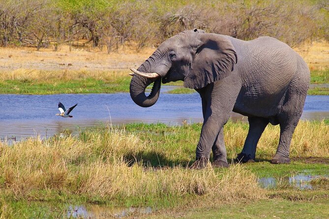 6 Days Safari : Manyara, Ngorongoro, Serengeti & Tarangire National Park - Pricing and Reviews