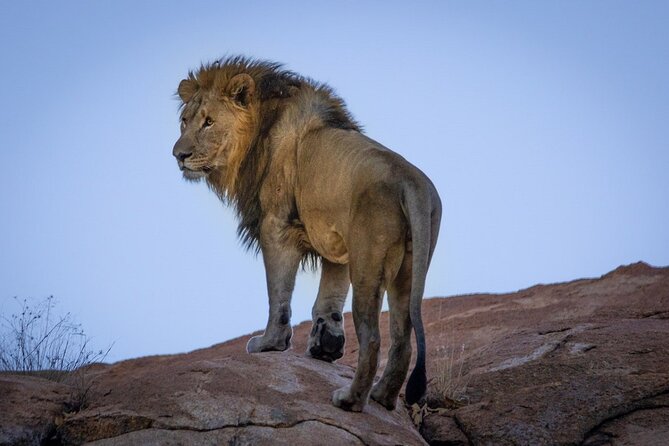 6 Days Safari : Manyara, Ngorongoro, Serengeti & Tarangire National Park - Serengeti National Park
