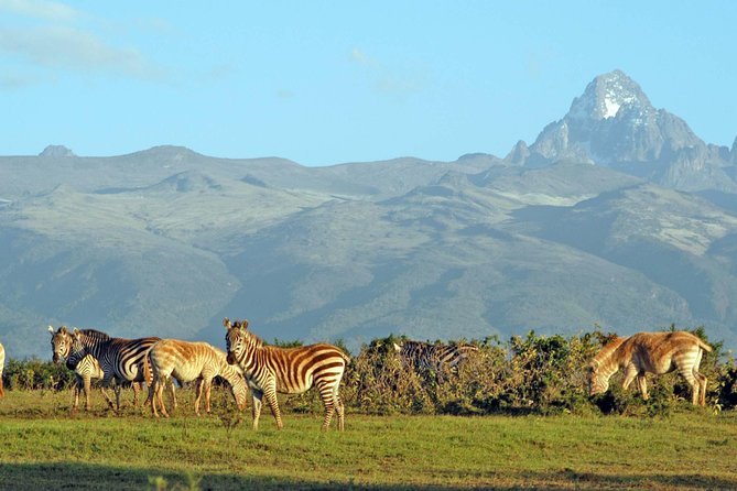6 Days Safari - Visit; Masai Mara, Lake Nakuru & Amboseli - Cuisine and Drinks