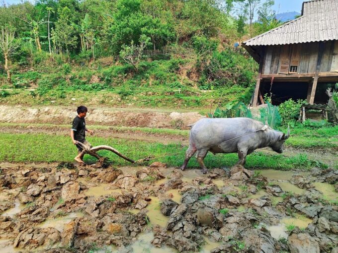 6-Days Sapa Trekking & Ha Giang Loop Motorbike Tour - Pickup and Drop-off Locations
