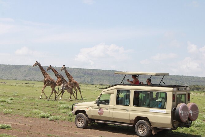 6 Days Serengeti Safari(Hiking Waterfalls &Coffee Tour) - Transportation and Activities