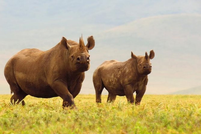6 Days Serengeti Safari(Hiking Waterfalls &Coffee Tour) - Inclusions and Exclusions