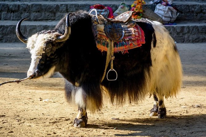 6 Days Shimla Manali Chandigarh Tour (Ex- Delhi) - Key Attractions in Shimla