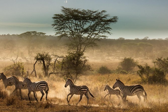 6 Days Tanzania Budget Camping Safari - Exclusions