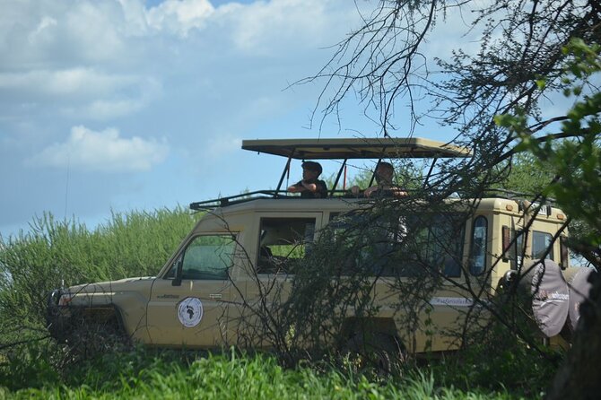 6 Days Tanzania Budget Safari - Daily Itinerary and Activities