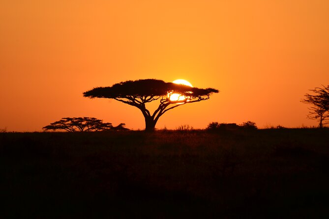 6 Days Tanzania Budget Safari - Wildlife Viewing Opportunities