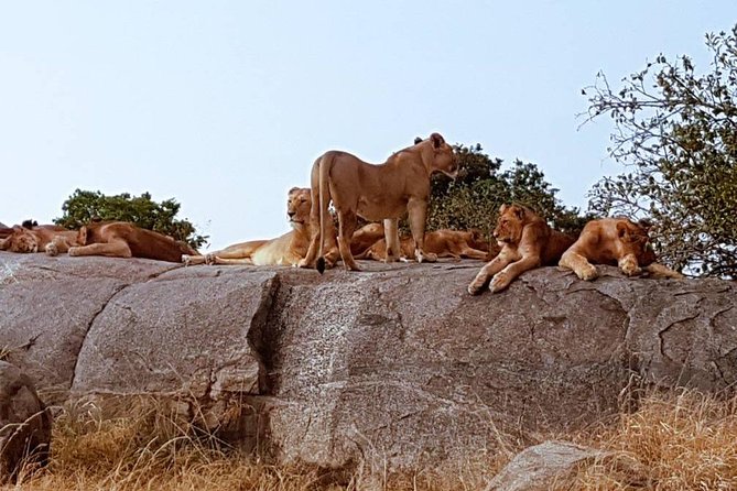 6 Days Tanzania Classic Safari - Transportation Arrangements