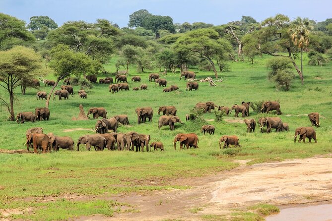 6 Days Tanzania Classic Safari - Safety and Health