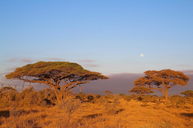 6 Days Tanzania Northern Circuit Safari - Inclusions