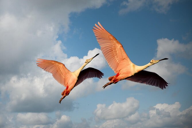 6 Days Tanzania Northern Circuit Safari - Cancellation Policy