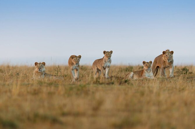 6 Days Tanzania Northern Circuit Safari - Pricing and Availability