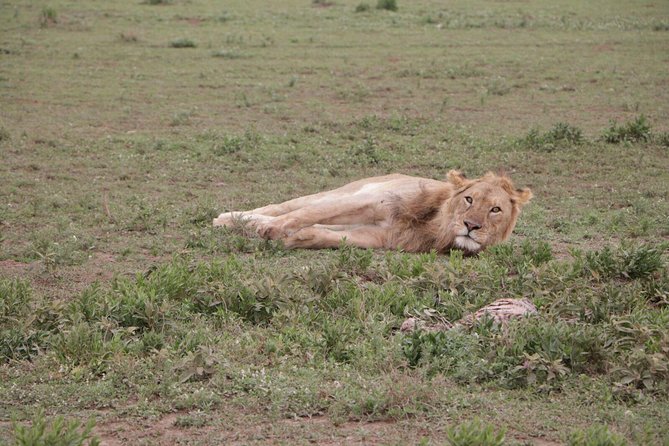 6 Days Tarangire, Serengeti, Ngorongoro & Manyara Joining Safari Tour Tanzania - Lake Manyara National Park