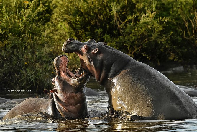 6 Days-The Best of Tanzania Safari - Visiting the Ngorongoro Crater