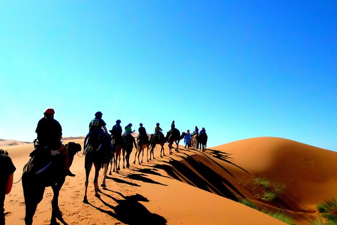 6 Days Tour From Casablanca to Marrakech via Imperiale Cities and Sahara Desert - Activities and Experiences
