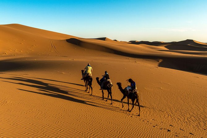 6 Days Tour From Casablanca to Marrakech via Imperiale Cities and Sahara Desert - Additional Tour Details
