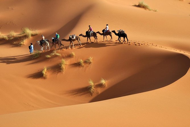 6 Days Tour From Marrakech to Sahara Desert & Atlantic Coast Essaouira - Meals Included