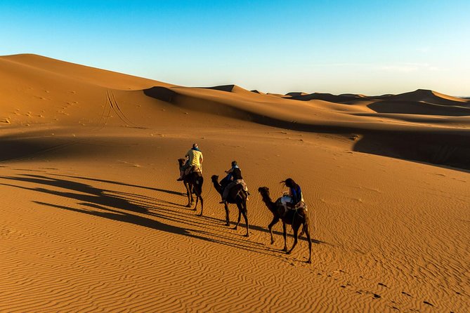 6 Days Tour From Marrakech to Sahara Desert & Atlantic Coast Essaouira - Participant Requirements