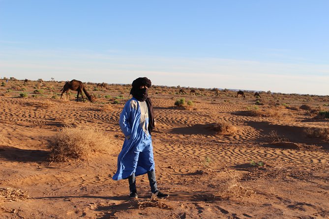 6 Days Tour From Marrakech to Sahara Desert & Atlantic Coast Essaouira - Pricing Information