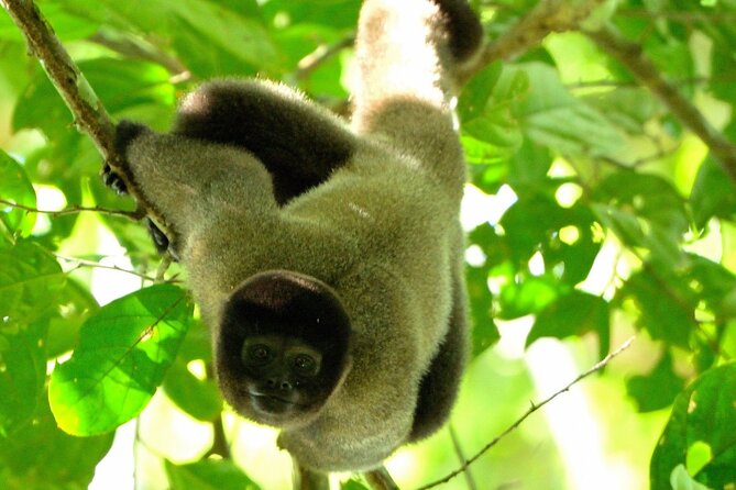 6 Days Tour in Manu National Park / Cusco - Puerto Maldonado - Daily Itinerary