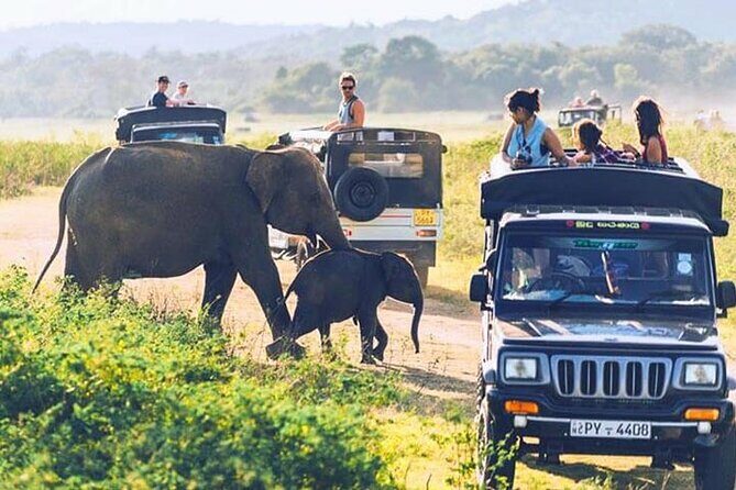 6 Days Tour of Sri Lanka - Why This Tour Offers Great Value