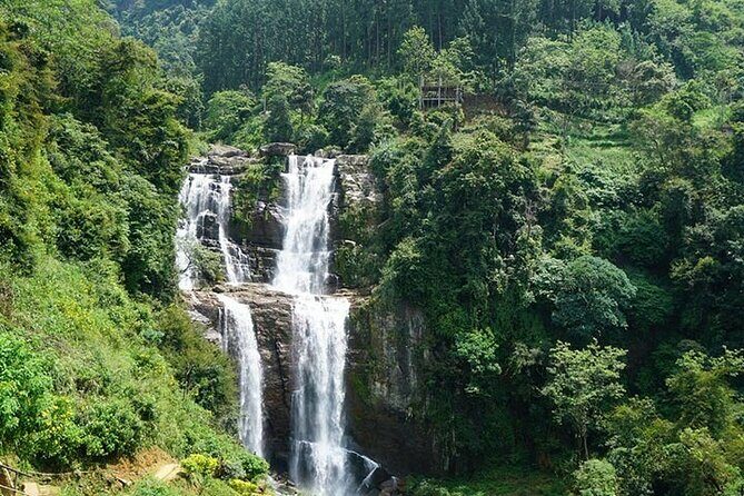 6 Days Tour of Sri Lanka - Who Will Love This Tour?