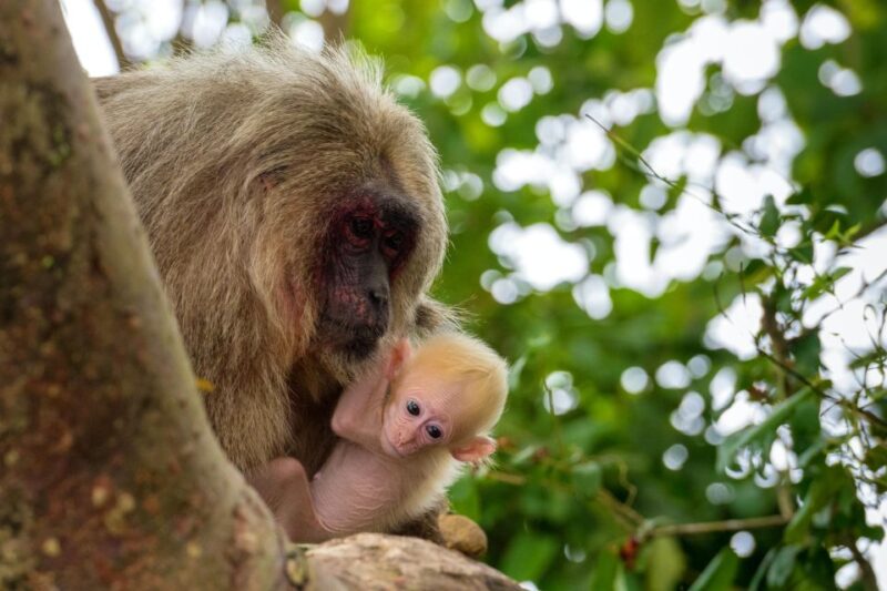 6 Days Tour to the Tambopata Highlands || Sandoval Lake || - Important Information