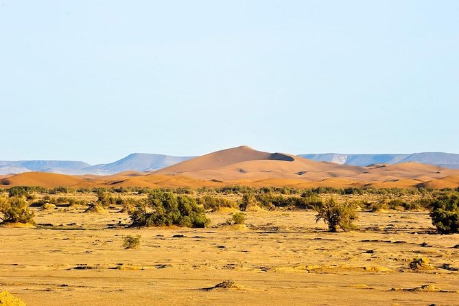 6 Days Trekking to the Heart of Desert - Accessibility Information