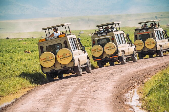 6-DayThe Best of Northern Tanzania Safari - Accommodation Highlights