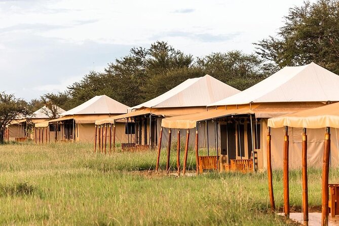 6-DayThe Best of Northern Tanzania Safari - Booking and Pickup Information