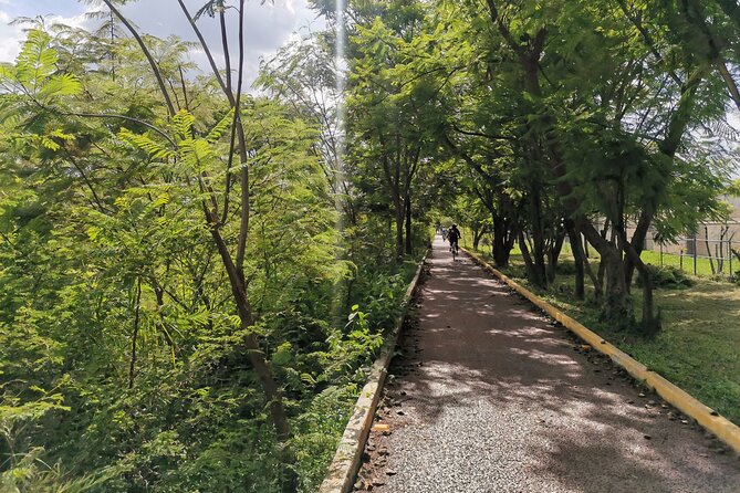 6-Hour Bike Tour From Oaxaca to the Tule Tree - Scenic Ride to Tule Tree