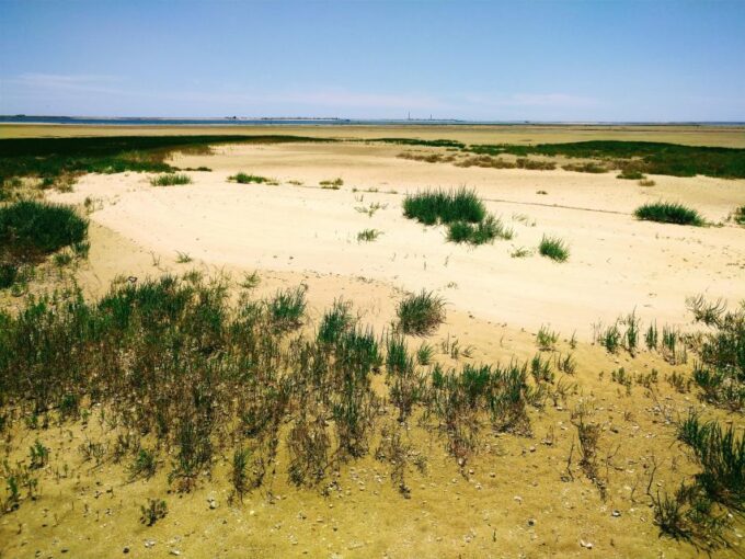 6 Hour Classic Boat Cruise, Ria Formosa Natural Park, Olhão. - Frequently Asked Questions