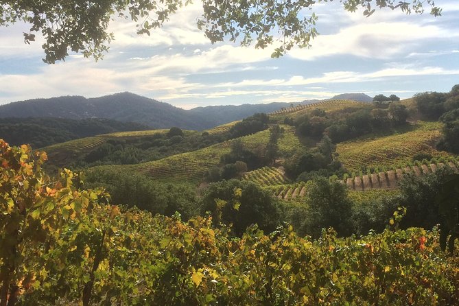 6-Hour Exclusive Wine Tour Experience: Up to 6 Guests - Visits to Wineries